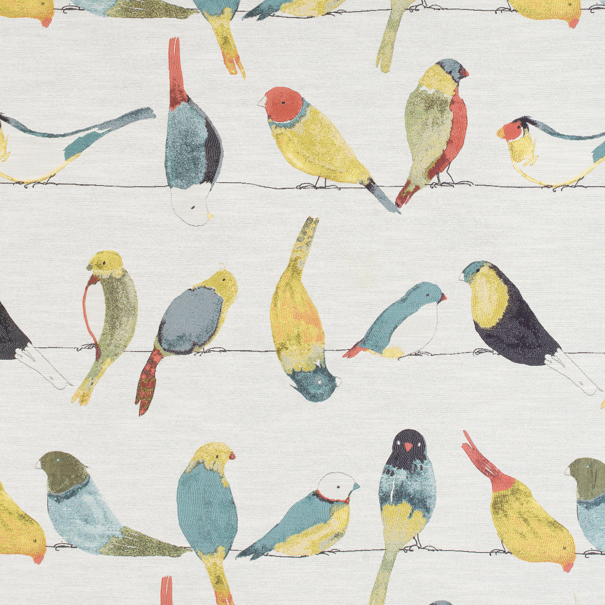 #1605 Early Birds Multi