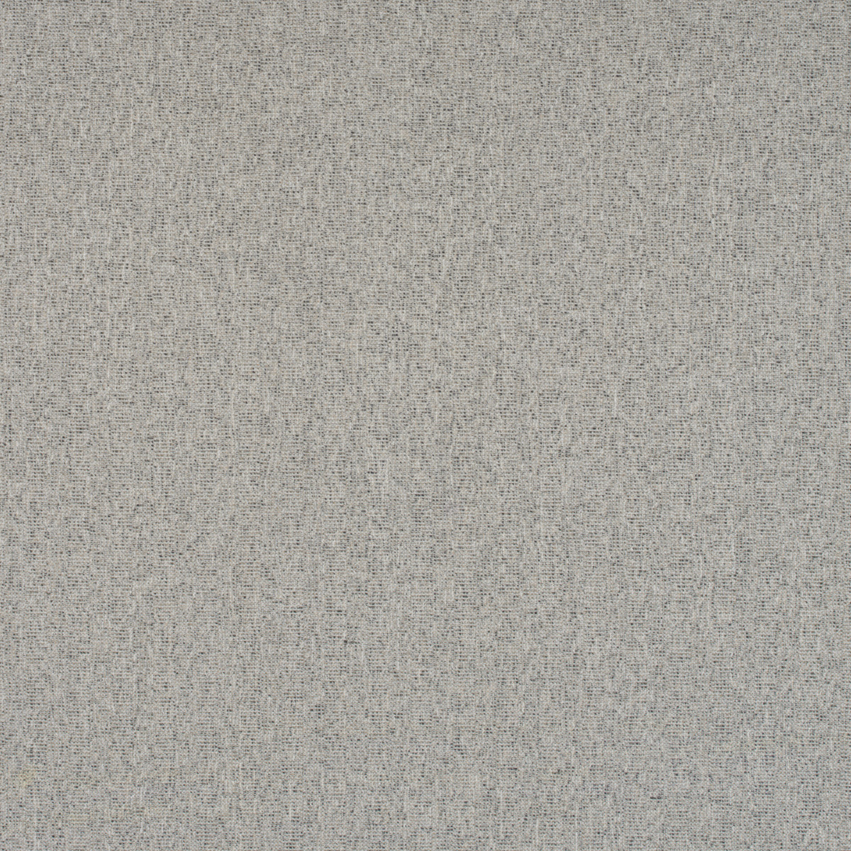 #370 Essential Berber