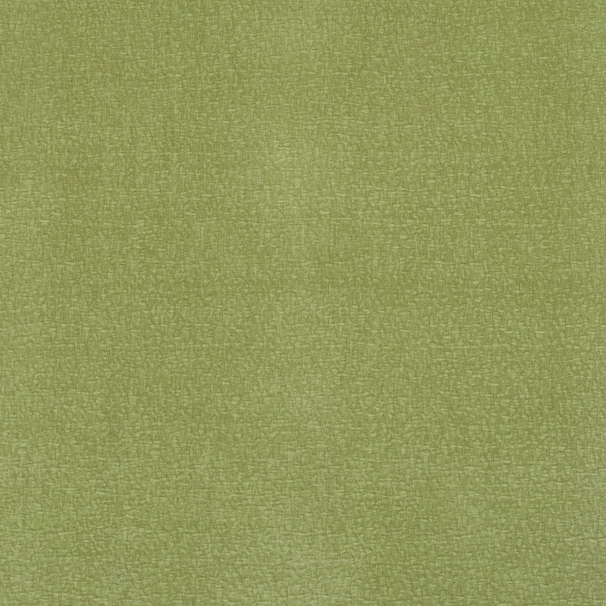 #5171 Ciao Grass