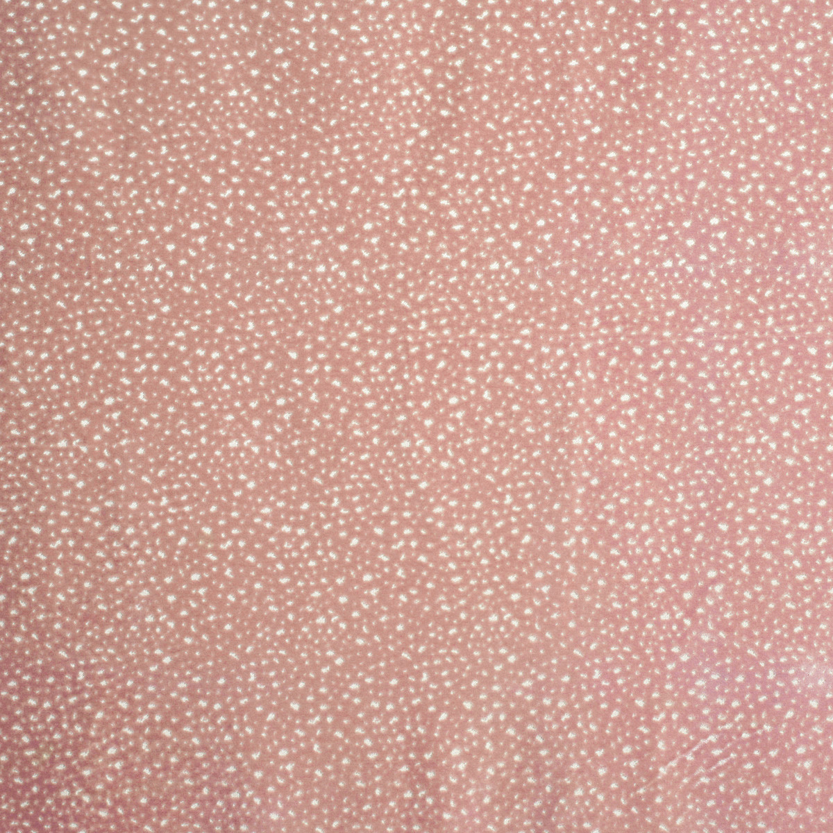 #3782 Aubrie Blush