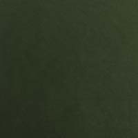 #6082 Banks Emerald