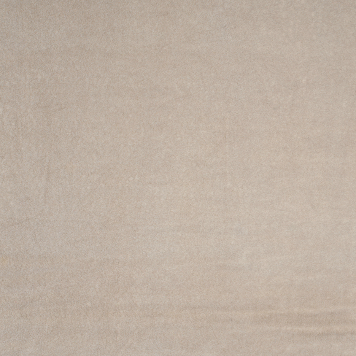 #10229 Cashmere Fawn