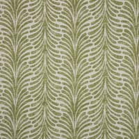 #5664 Ceremony Fern
