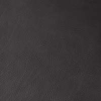 #70100 Coach Grey