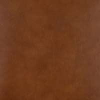 #70102 Eclipse Bronziste