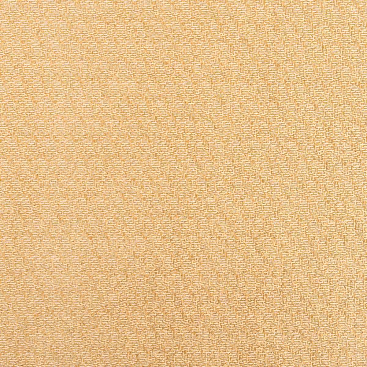 #1629 Entangled Sunglow