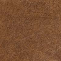 #70087 Everlast Penny