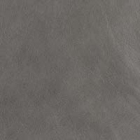 #70017 Evolution Smokey