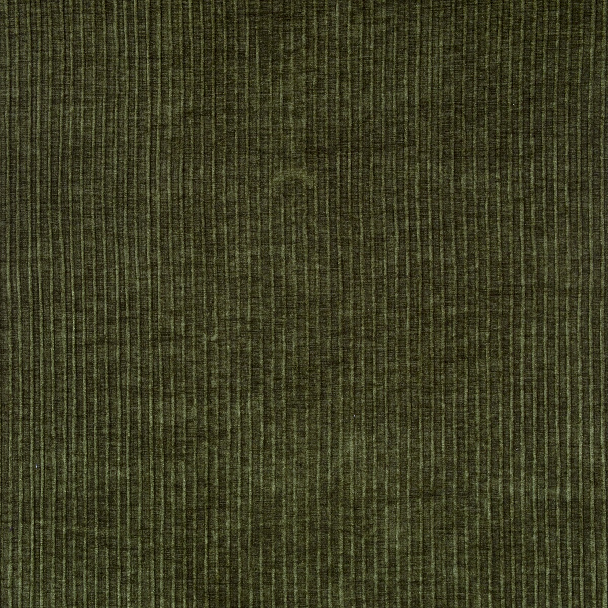 #6077 Larkin Forest