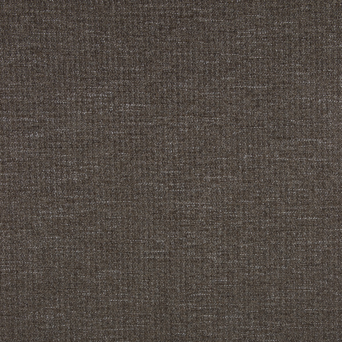 #11220 Lavish Mink