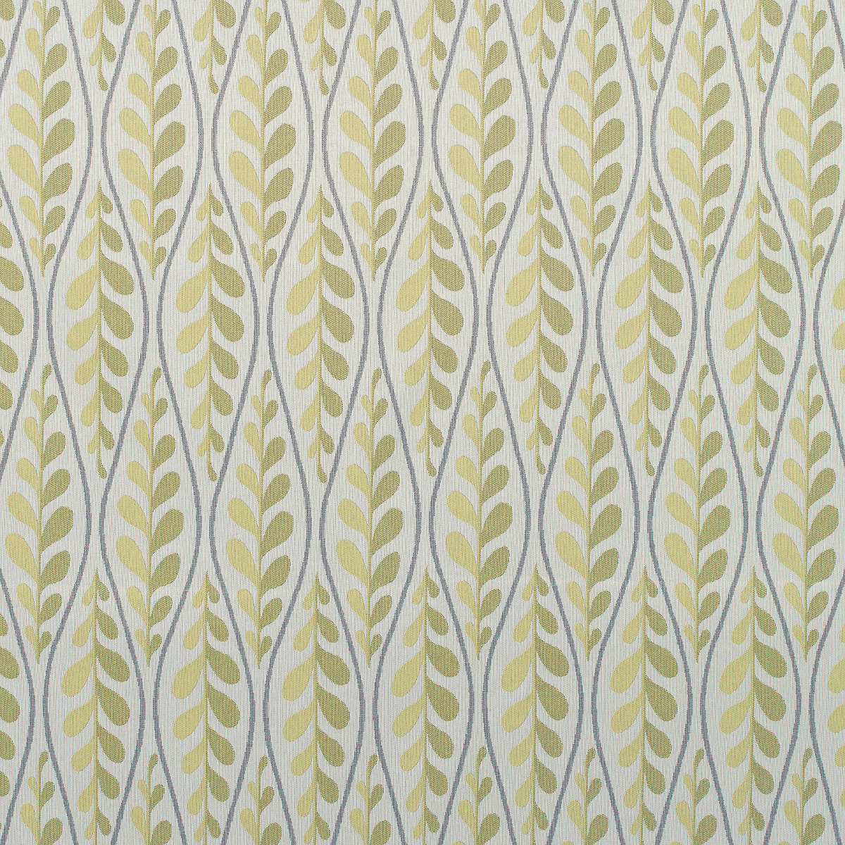 #5644 Marino Lemon