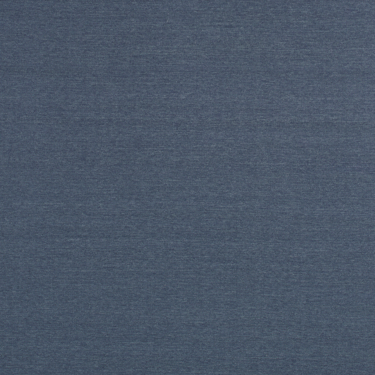 #8065 Max Cobalt