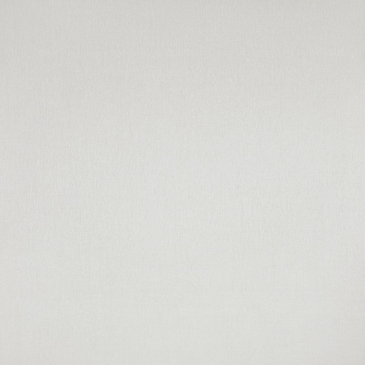 #496 Novel Parchment