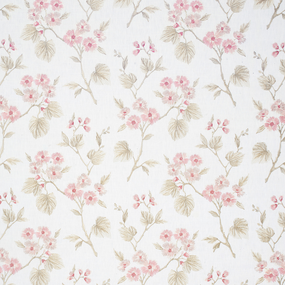 #3780 Oleander Coral