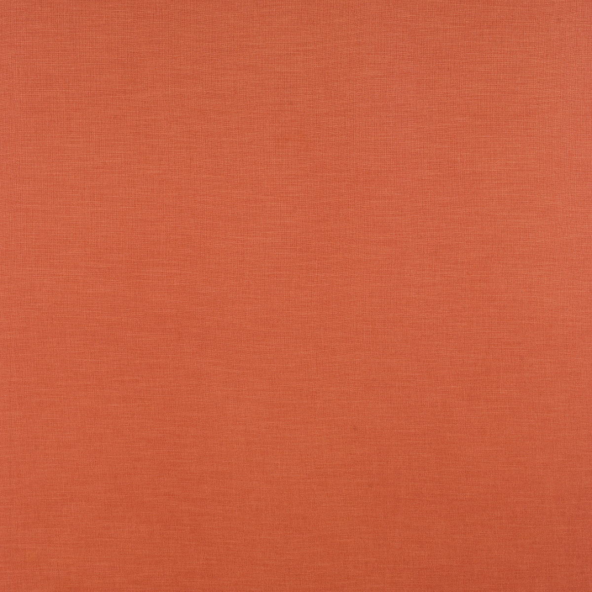 #2025 Panorama Tangerine