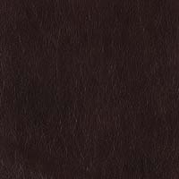 #70038 Salvador Black Oak