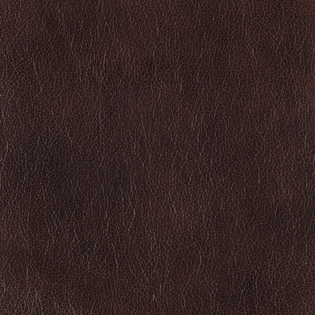 #70038 Salvador Black Oak