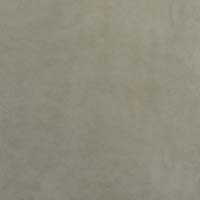 #70046 Stargo Dove