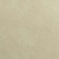 #70047 Stargo Limestone
