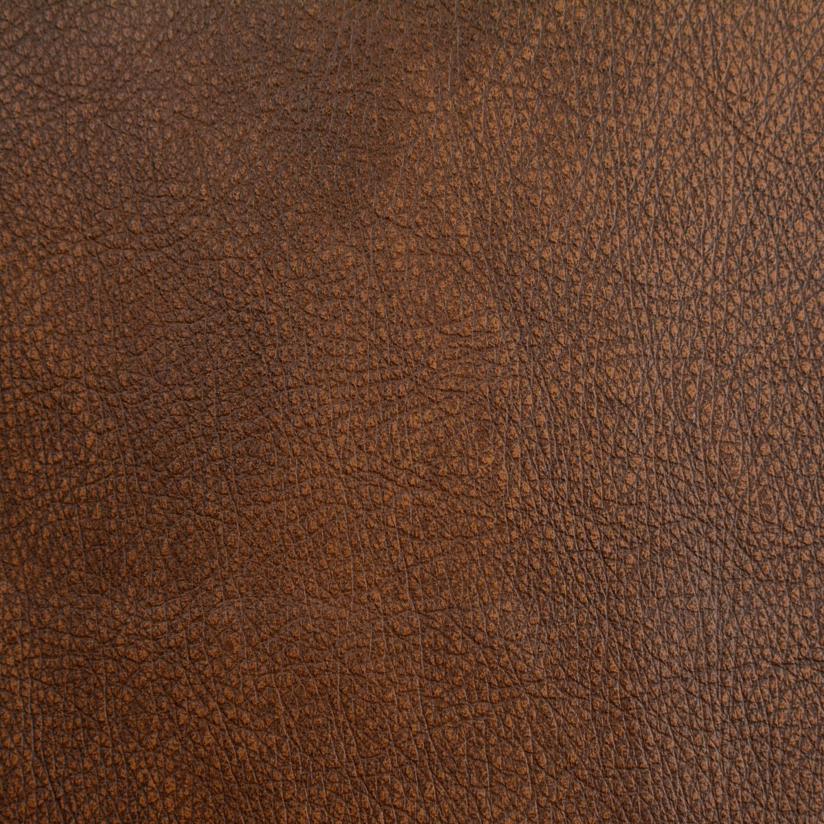 #70084 Wyoming Sable