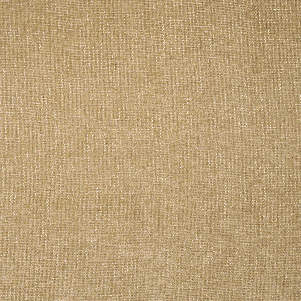 #10227 Zane Sesame