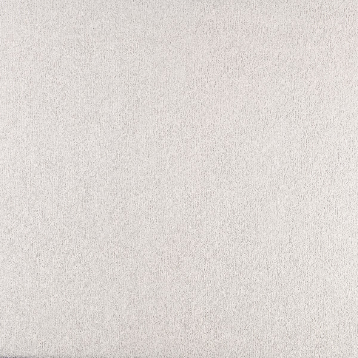 #499.9 Zindy Ivory