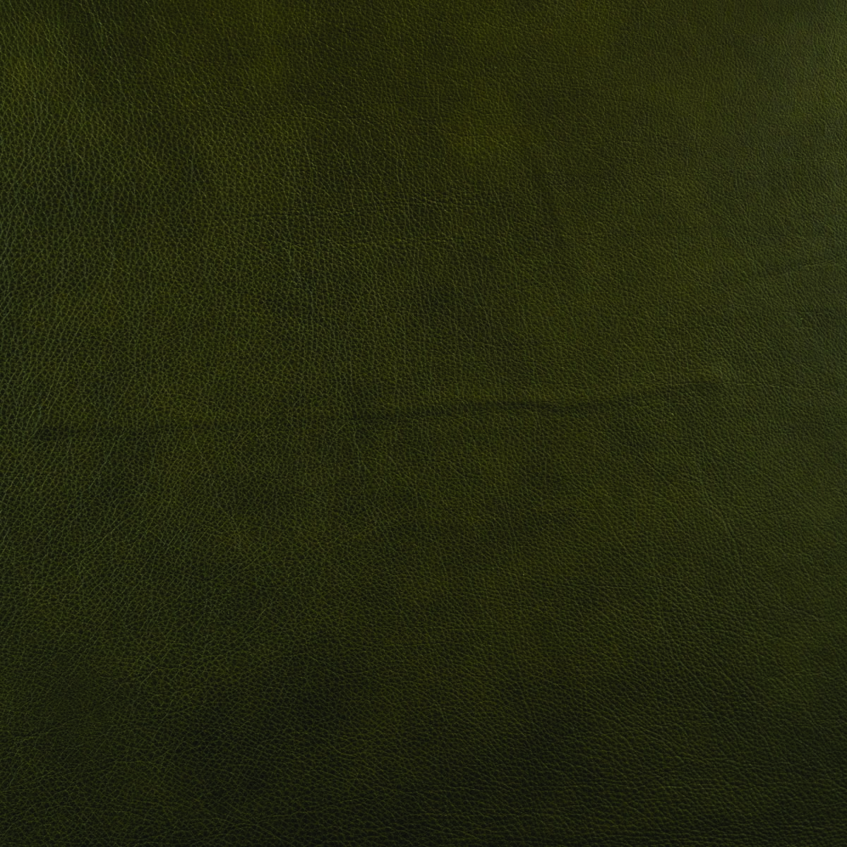 #L630 Forest Shade
