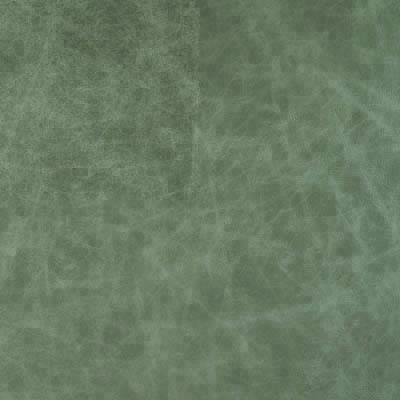 #L110 Lazy Grey