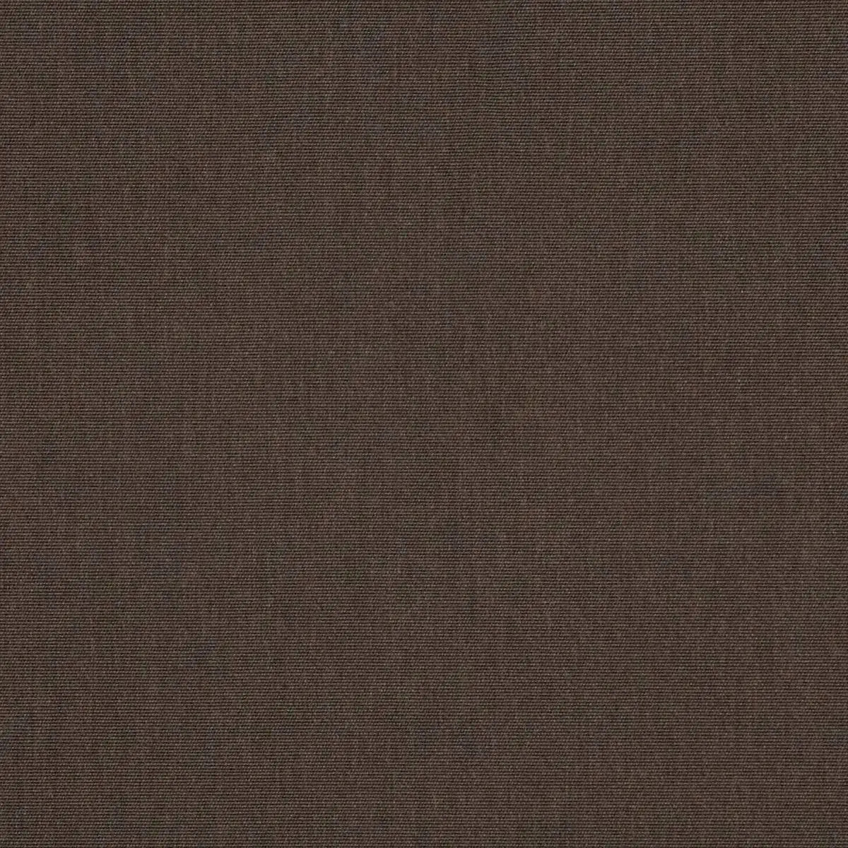 Canvas Java