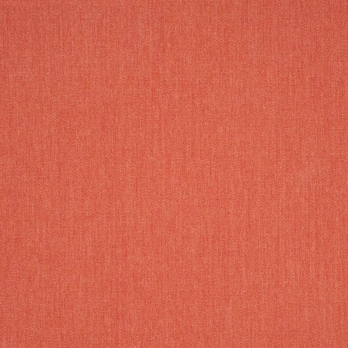 Canvas Persimmon