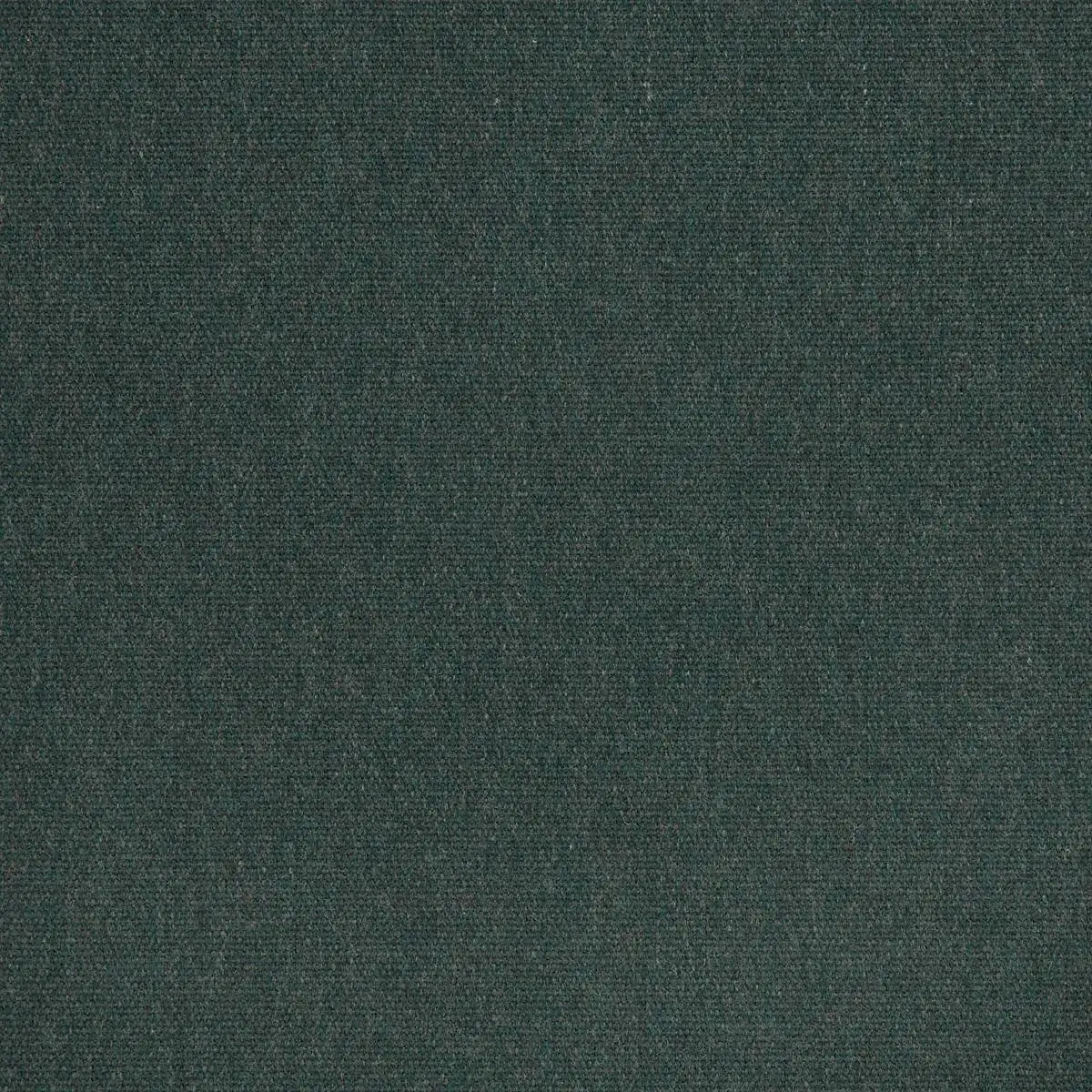 Heritage Alpine