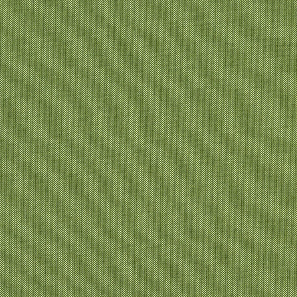 Spectrum Cilantro