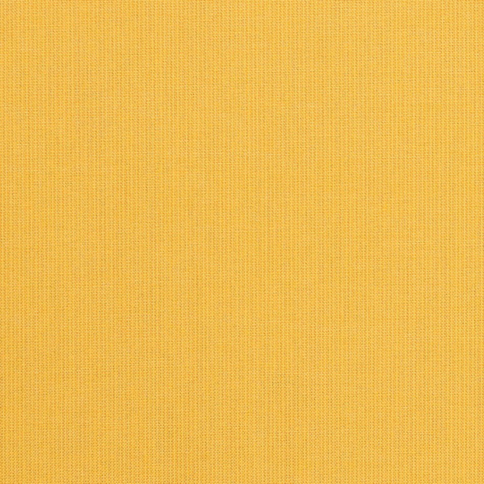 Spectrum Daffodil
