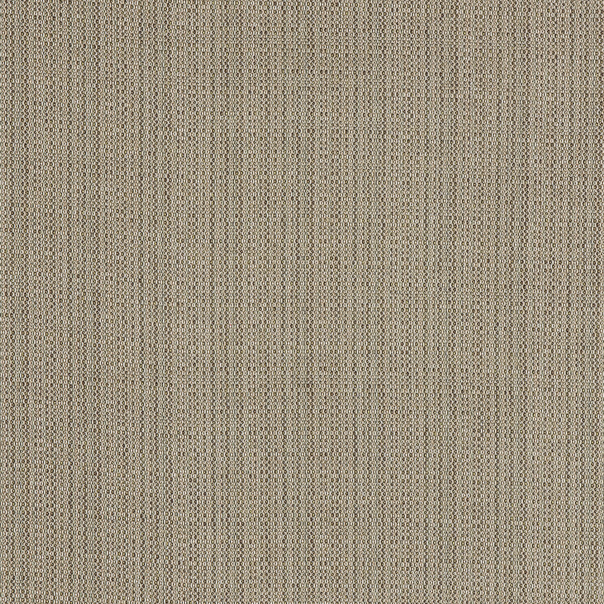 #C8-88 Sisal