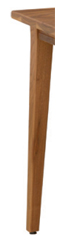 Leg T